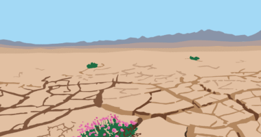 Sustainable Tech: Innovations for Our Planet