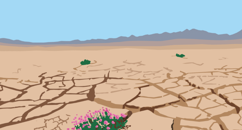 Sustainable Tech: Innovations for Our Planet